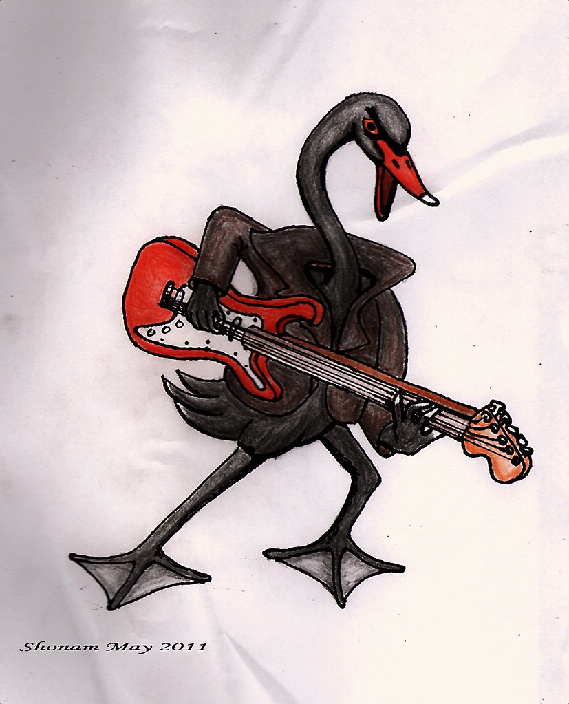 Syd Swan | Directive - draw a cartoon black swan holding or … | Flickr