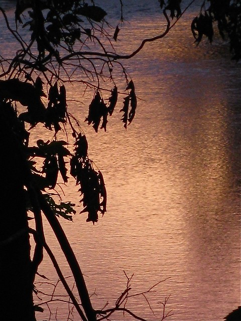 cannon river sunset