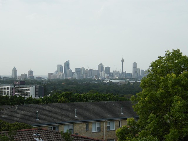 Sydney 2009 12 290