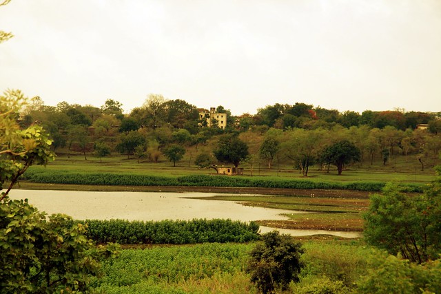 Part of lake Telankhedi shot from the Botanical garden