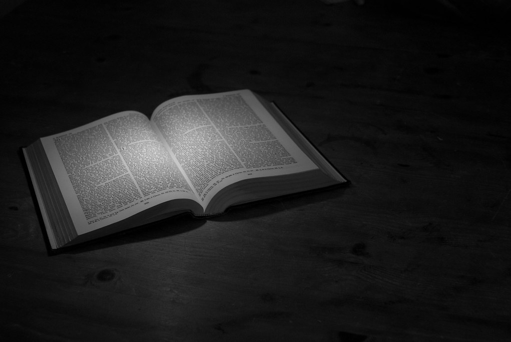Book Focus | Lemsipmatt | Flickr