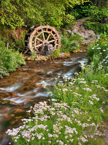 old mill nature water wheel creek landscape utah stream rustic scenic peaceful canyon saltlakecity abandon millcreek millcreekcanyon