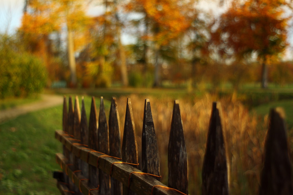 Little country fence