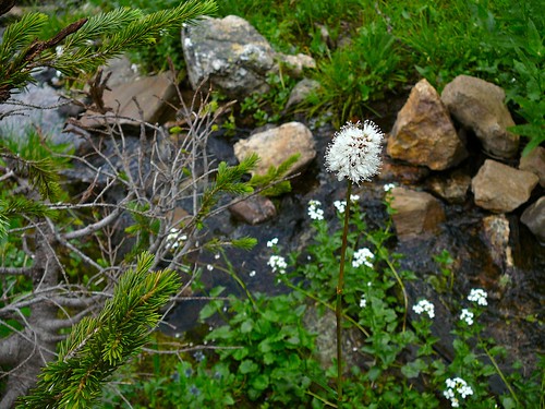 Rocky Mountain National Park - krossbow