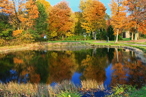 autumn fall water leaves reflections golf foliage stannecountryclub