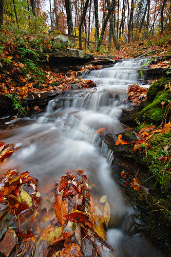 autumn fall stream huntsville alabama d70s montesano sigma1020 montesanostatepark