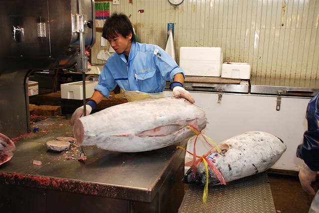 Tokyo, Cutting the Fish