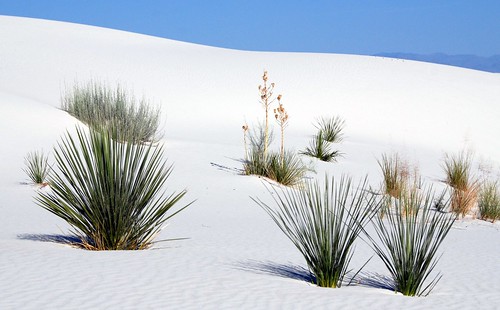 White Sands National Park by hannu & hannele
