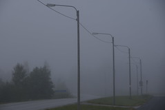 The road in mist