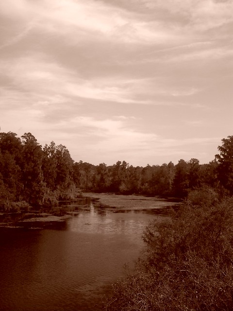 River Landscape 1