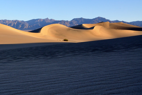 sand dunes by steven.b