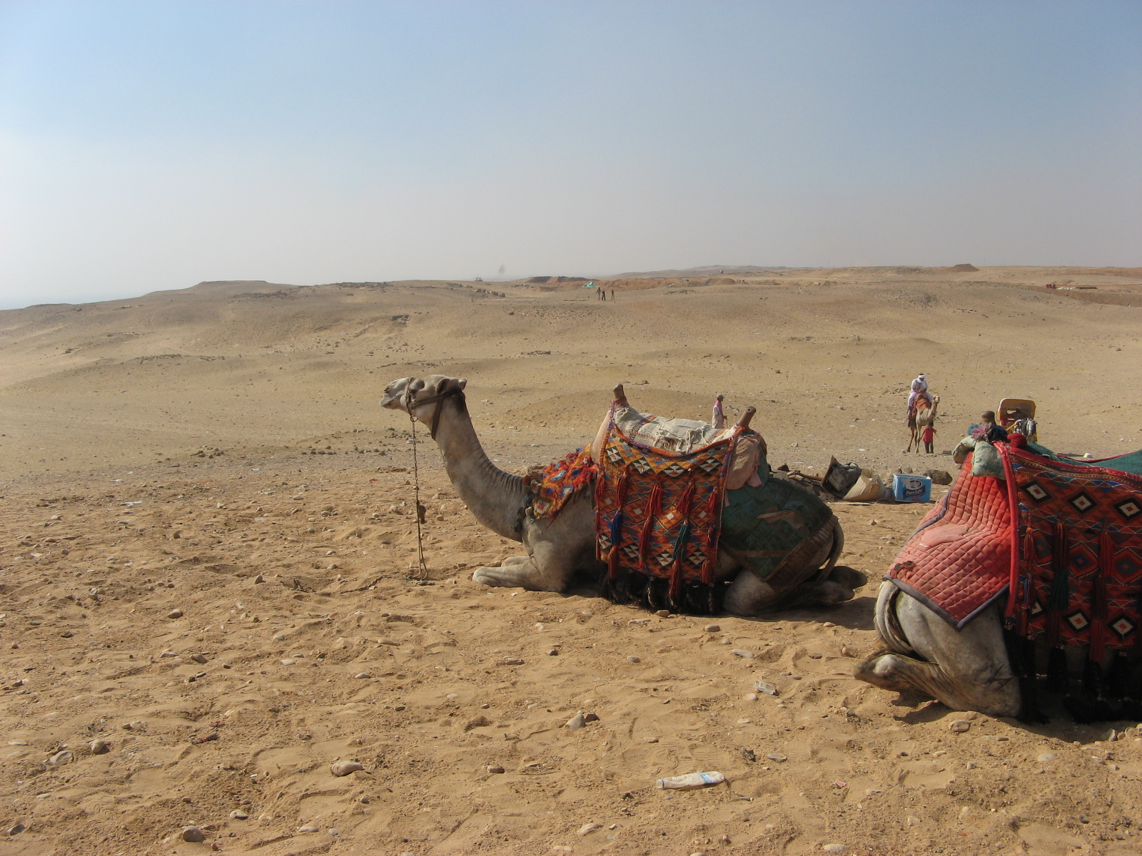 Egypt_579_吉薩騎駱駝