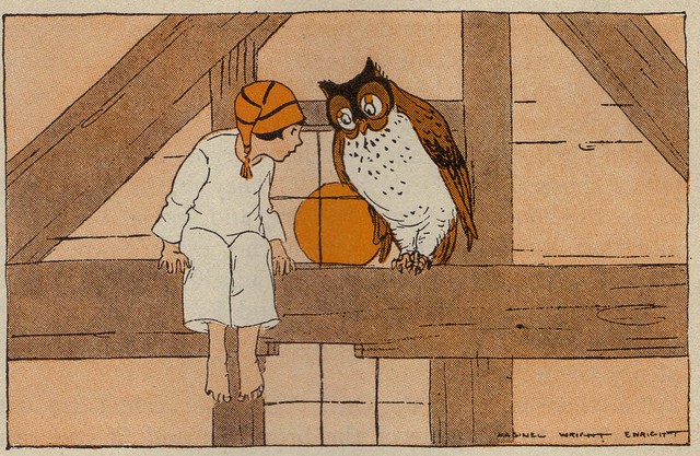 Either a very big owl or a very small boy ill by M.W. Enright