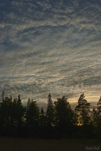 Evening clouds by Kaarin Vask