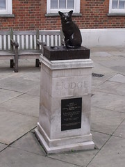 statue of Hodge - Dr Johnson's cat - in Gough Square
