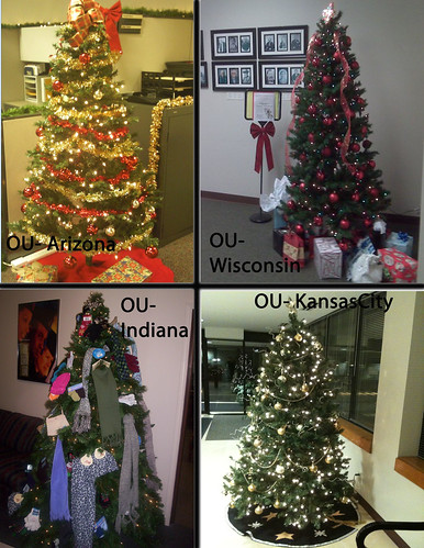 OU Adult Campus Christmas Trees