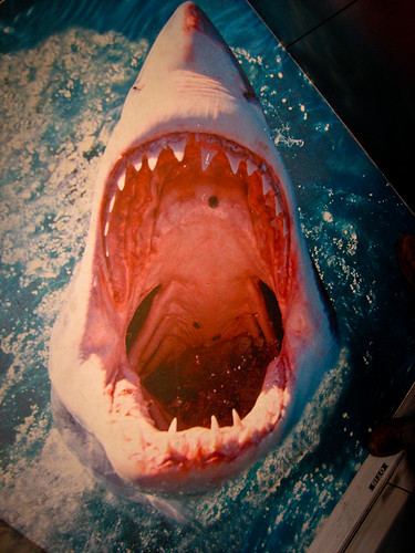 Shark Attack | by paulismyfriend