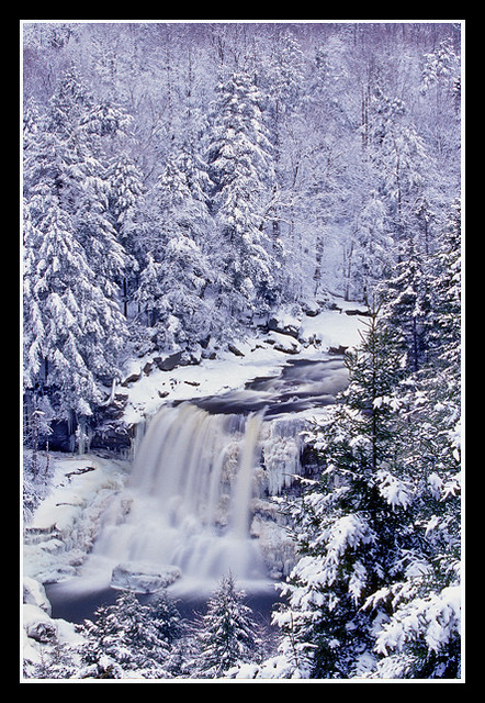 Blackwater Falls Winter