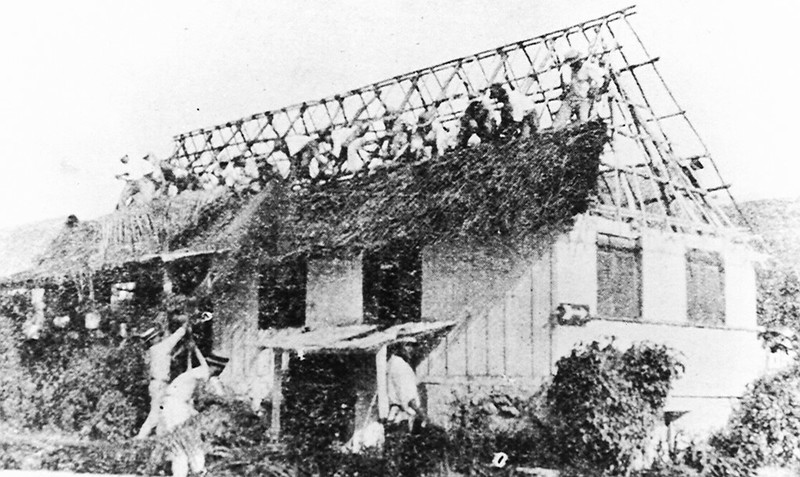 Figure 8. Assembling. The balanggai (thatching party) was a major festive social event that brought friends and family to the house for roofing and for the obligatory feast.

Micronesian Area Research Center (MARC)/Lawrence J. Cunningham