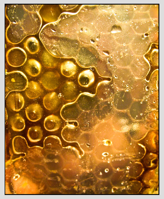 honigwaben - honeycombs