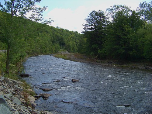 creek sullivancountyny willowwemoccreek