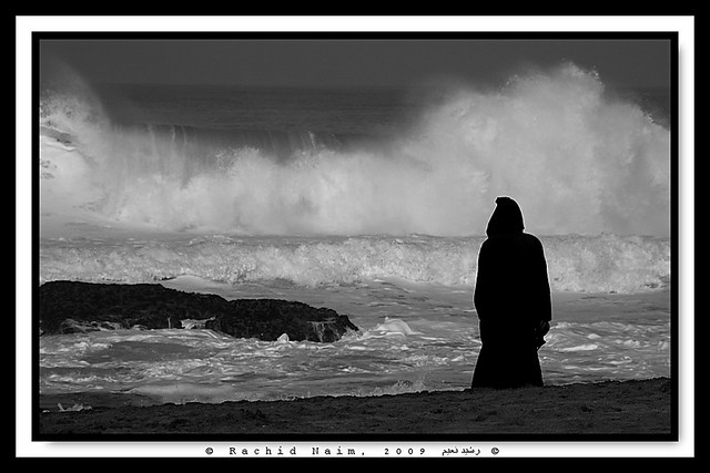 The Old man and the Sea - Le vieil homme et la mer