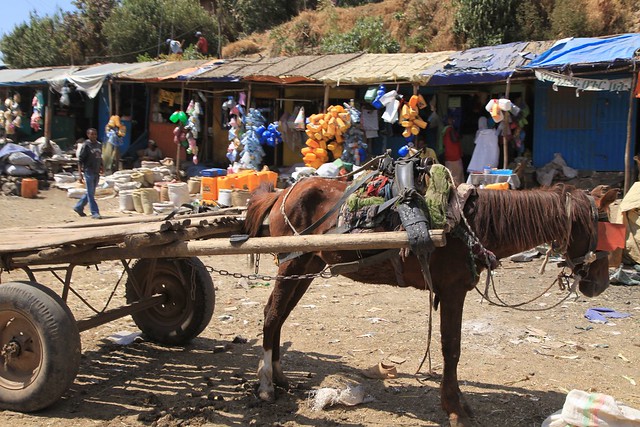 Gondar to Debark Ethiopia