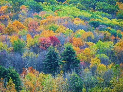 autumn johnjmurphyiii connecticut northwestcorner landscape usa limerock 06039 foliage