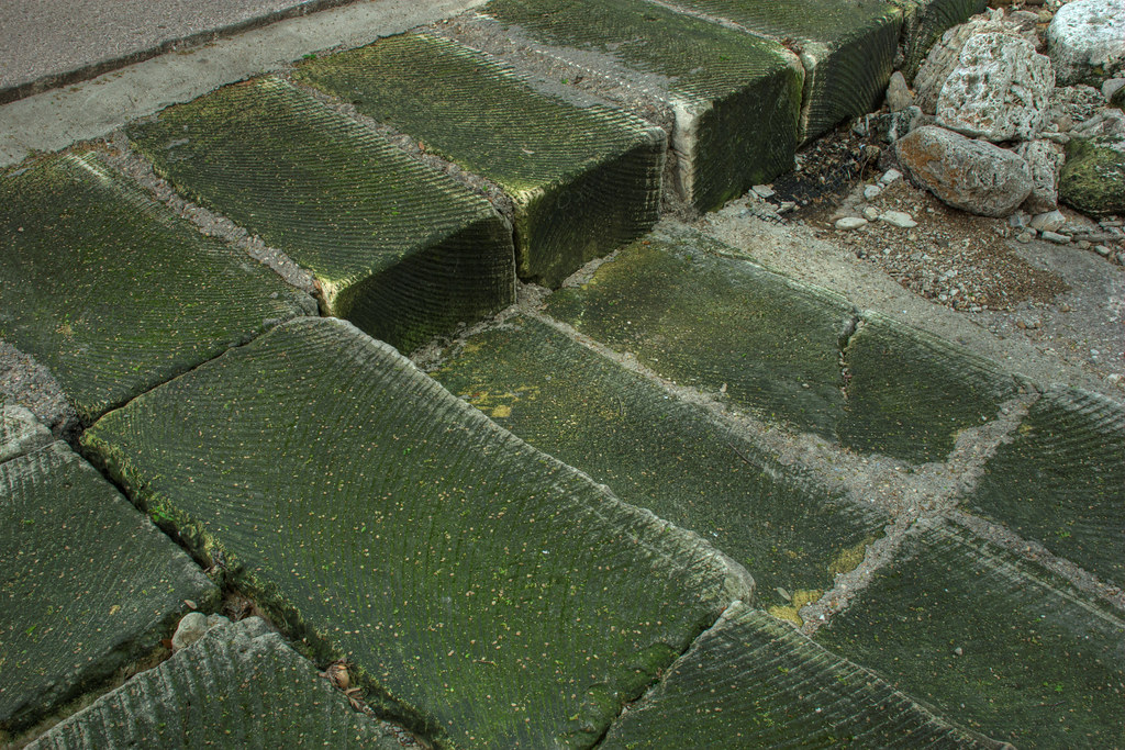 Algae-Covered Blocks