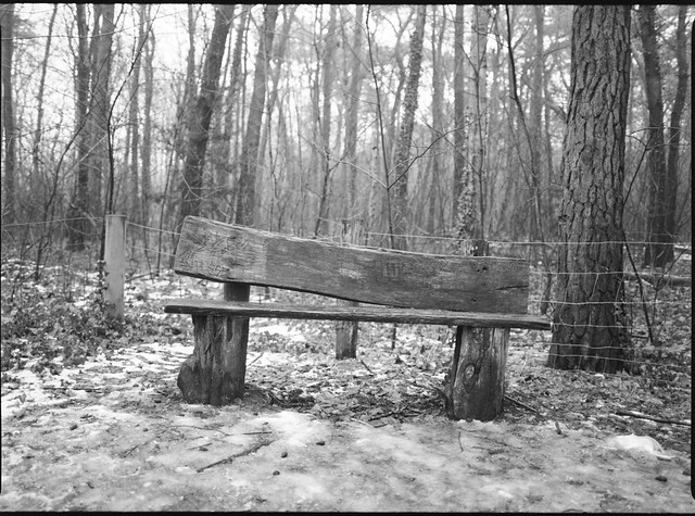 Old bench on Fauler See, Berlin