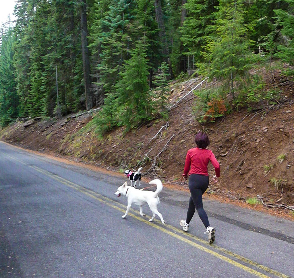 A Woman Wearing A Red Shirt And Jogging With Two Dogs In Oregon