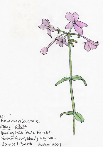 botany 101 | by jannypie143