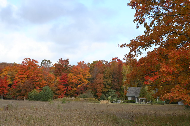 Door County 2009 - Fall Colors at Peak