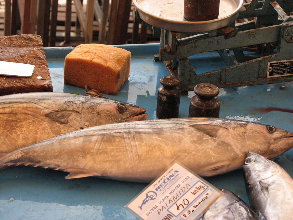 Palamida, at Split Fish Market, Palamida (Croatian) - one o…