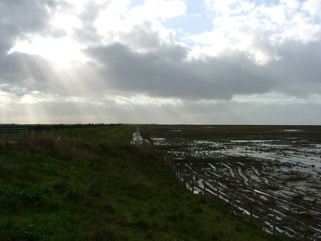 New scrapes at Hesketh Out Marsh