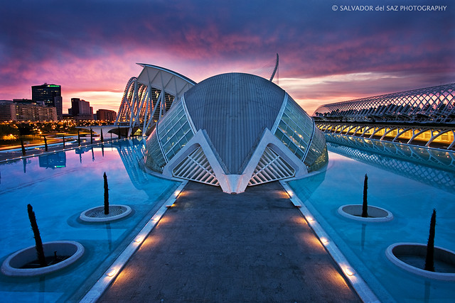 Dawn at the City of Arts and Sciences: Blue and Magenta series
