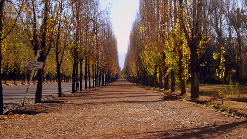 Mendoza