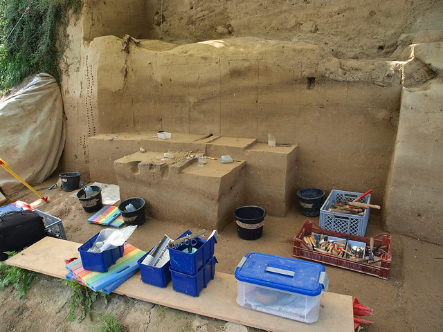 New excavations at Willendorf, site of original 