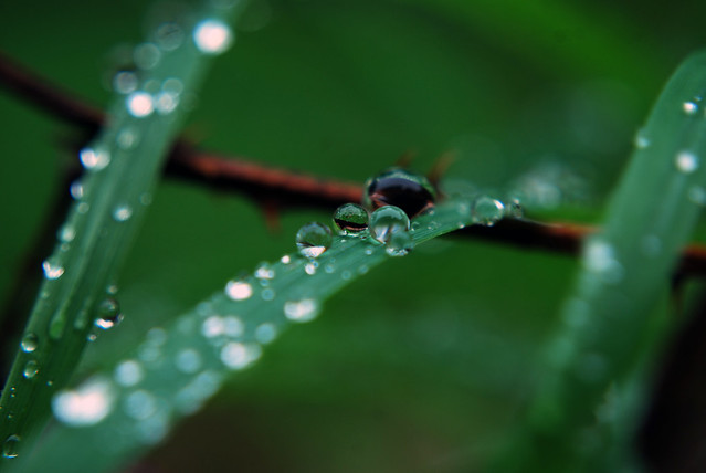 Droplet Perfection