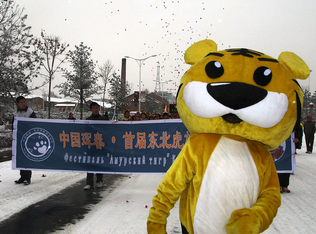 Campaign Mascot - Hunchun Nature Reserve, Jilin Province (吉林)