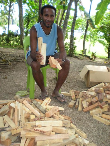 Mon, 10/26/2009 - 15:15 - Sampling wood in PNG plots.
Credit: CTFS