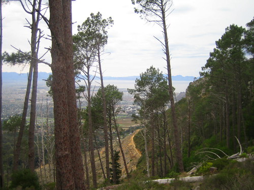 Silvermine Nature Reserve