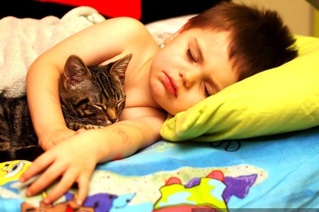 fast asleep - kid & kitten - _MG_7759