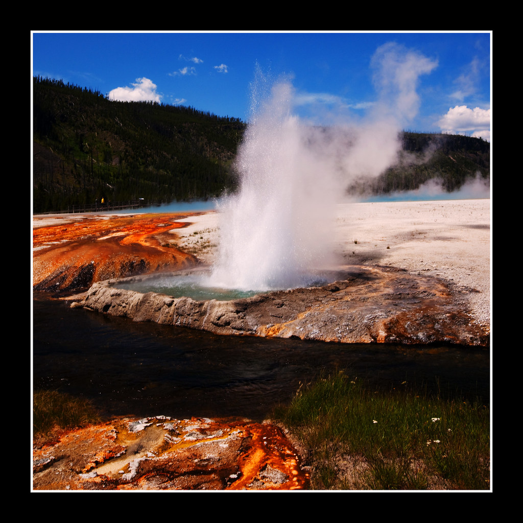 Cliff Geyser, Yellowstone National Park