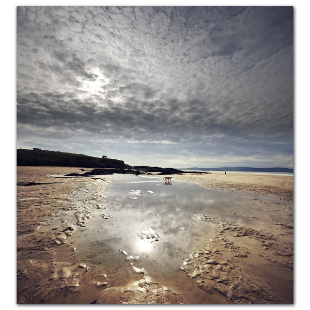 Altocumulus reflections at Gwithian Sands. Have you heard the one about the dog who went for a walk and forgot to take his owner?