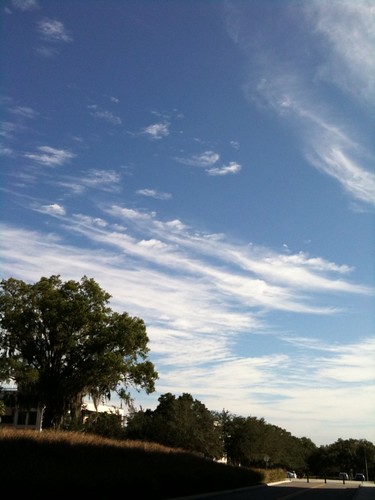 Blue Sky Behind the Phyllis P. Marshall Center 02