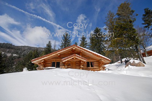 00277-ML | by michellcrea