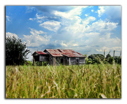 The Cotton Gin by micky mb