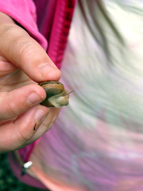 Holding a Snail