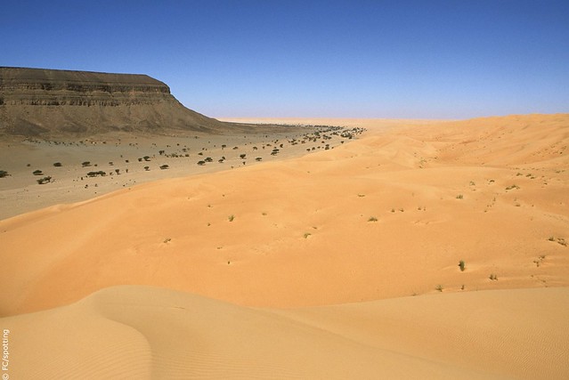 atar - mauritania - 20